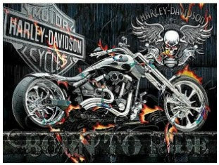 DIAMOND PICTURE KIT WITH 5D CRYSTAL BEADS - HARLEY DAVIDSON 30X40CM