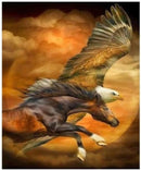 DIAMOND PICTURE KIT WITH 5D CRYSTAL BEADS - HORSE EAGLE SKY  30X40CM
