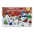 FIDGET TOY ADVENT CALENDAR 25PC