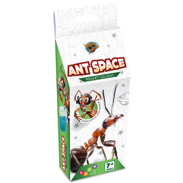 HEEBIE JEEBIES ANT SPACE POCKET COLONY