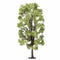 HORNBY R7221 LIME TREE SPRING 18.5CM