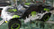 ROVAN 320SC 32cc 2 STROKE TERMINATOR SHORT COURSE TRUCK RTR BAJA 5B CONVERTED TO 5T BODY GREEN WHITE AND BLACK MONSTER
