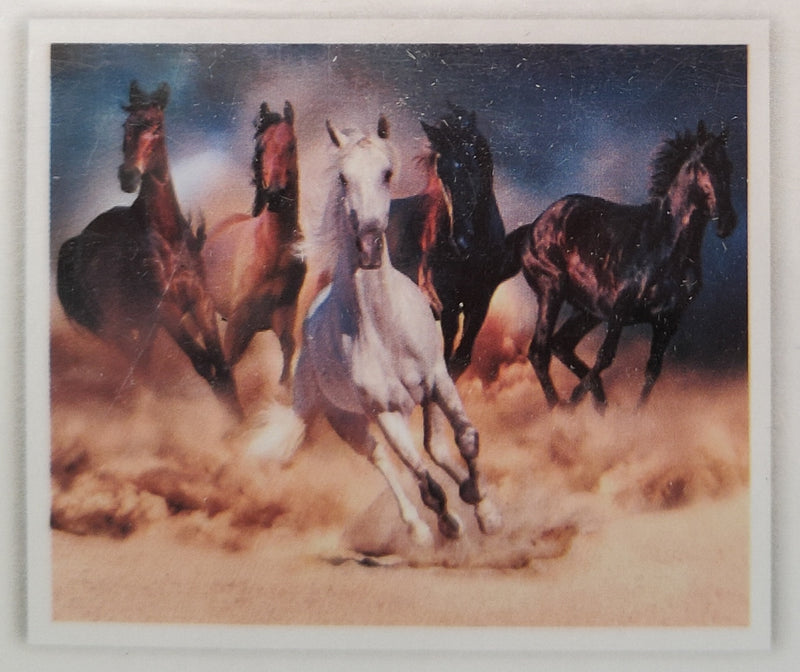 DIAMOND PICTURE KIT WITH 5D CRYSTAL BEADS - WILD STALLIONS 30X40CM