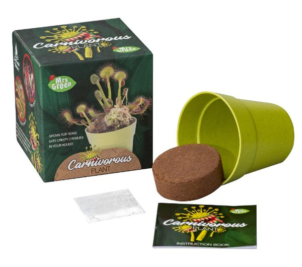 MRS GREEN CARNIVOROUS PLANT KIT