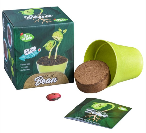 MRS GREEN MAGIC BEAN KIT - BUTTERFLY