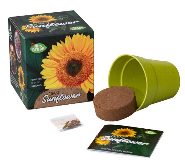 MRS GREEN GIANT SUNFLOWER KIT