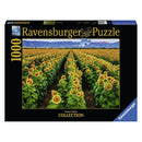 RAVENSBURGER 152889 FIELDS OF GOLD 1000PC JIGSAW PUZZLE