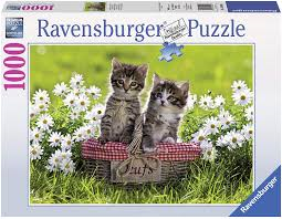 RAVENSBURGER 194803 PICNIC IN THE MEADOW 1000PC JIGSAW PUZZLE