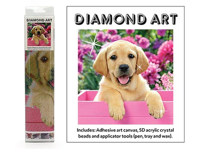 5D DIAMOND ART KIT - GOLDEN LABRADOR PUP 30CM X 30CM