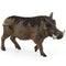 SCHLEICH 14843 WARTHOG