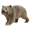 SCHLEICH 14834 WOMBAT