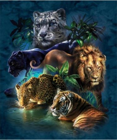 5D DIAMOND PAINTINGS  BIG CATS EMBROIDERY CROSS STITCH PICTURE ART