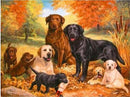 5D DIAMOND PAINTINGS DOGS EMBROIDERY CROSS STITCH PICTURE ART