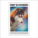 PAINT BY NUMBERS - HUSKY DOG -  30CMX40CM