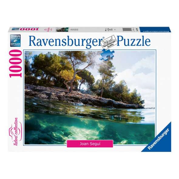 RAVENSBURGER 161980 TALENT COLLECTION POINTS OF VIEW BY JOAN SEGUI 1000PC JIGSAW PUZZLE