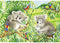 RAVENSBURGER 078202 SWEET KOALAS AND PANDAS 2x24PC JIGSAW PUZZLE