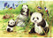 RAVENSBURGER 078202 SWEET KOALAS AND PANDAS 2x24PC JIGSAW PUZZLE