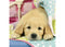 RAVENSBURGER 080656 CUTE PUPPY DOGS 3x49PC JIGSAW PUZZLE