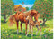 RAVENSBURGER 105779 HORSES IN THE FIELD 100PC XXL JIGSAW PUZZLE