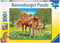 RAVENSBURGER 105779 HORSES IN THE FIELD 100PC XXL JIGSAW PUZZLE