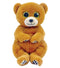 TY BEANIE BELLIES DUNCAN BROWN BEAR REGULAR PLUSH