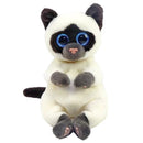 TY BEANIE BELLIES MISO SIAMESE REGULAR PLUSH